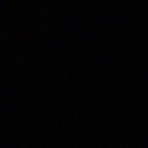 Meet your Posher, Shasdya